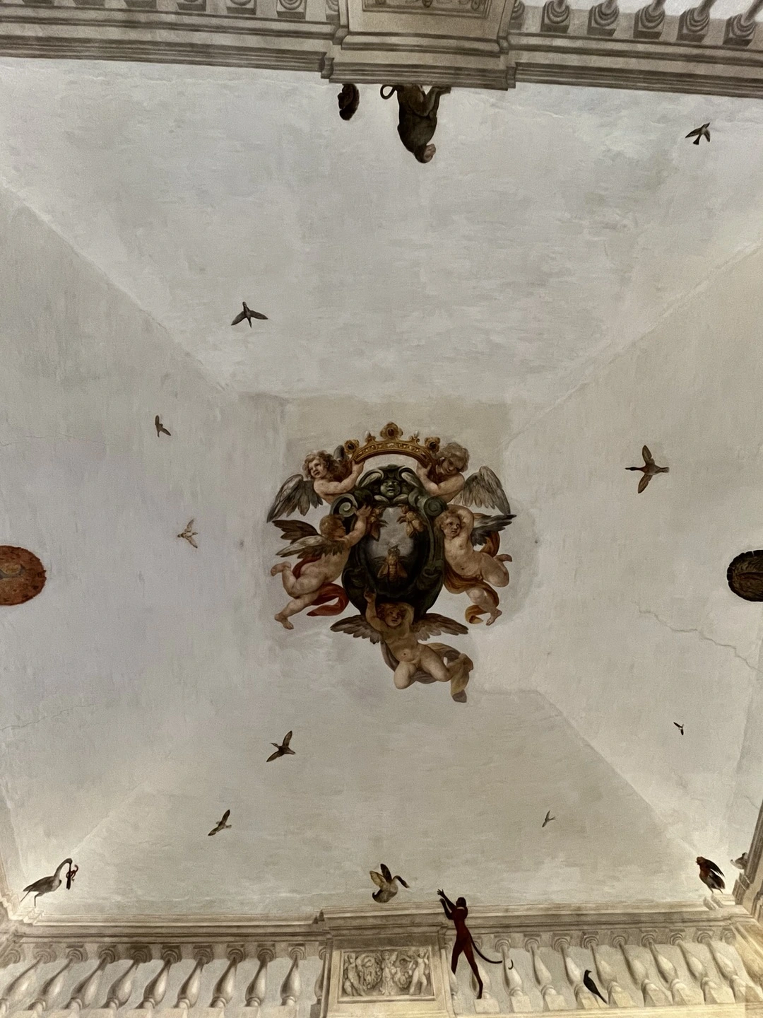 barberini ceiling